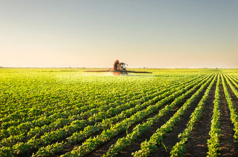 We're not just part of the food chain, we're its guardians, ensuring that what feeds us today sustains the world of tomorrow. 